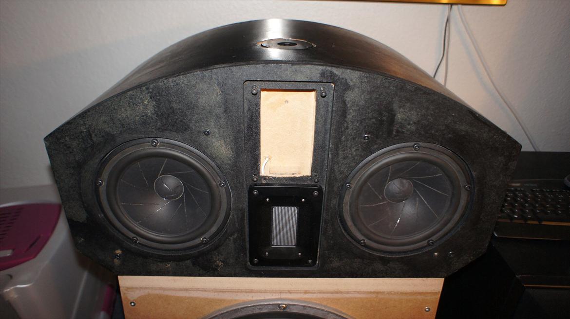 Hjemmebiograf DIY B&W-Scanspeak billede 7
