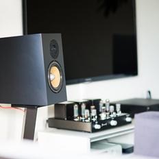 Musikanlæg #OLD Scanspeak med rør guf