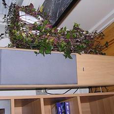 Hjemmebiograf Sony - BenQ - Eltax
