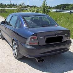 Bilstereo DLS