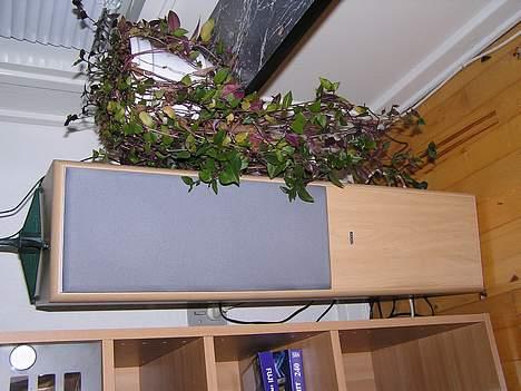 Hjemmebiograf Sony - BenQ - Eltax billede 2
