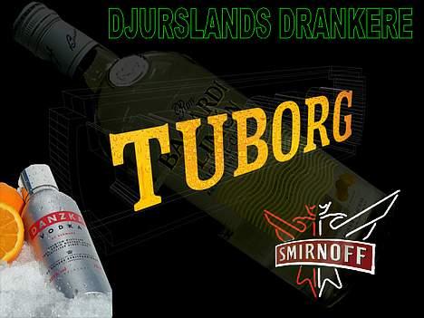 Scooterstereo PGO Comet anlæg billede 12