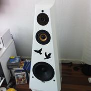 Musikanlæg Projekter og udstyr