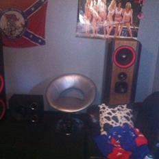 Hjemmebiograf Cerwin Vega power!