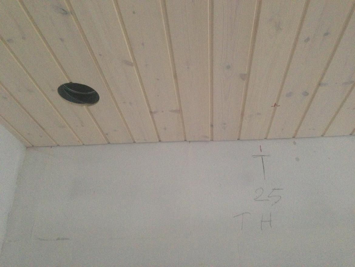 Hjemmebiograf Integreret lydsystem i nyt hus - Baghøjtaler i stuen klar til monteret i loftet. billede 8