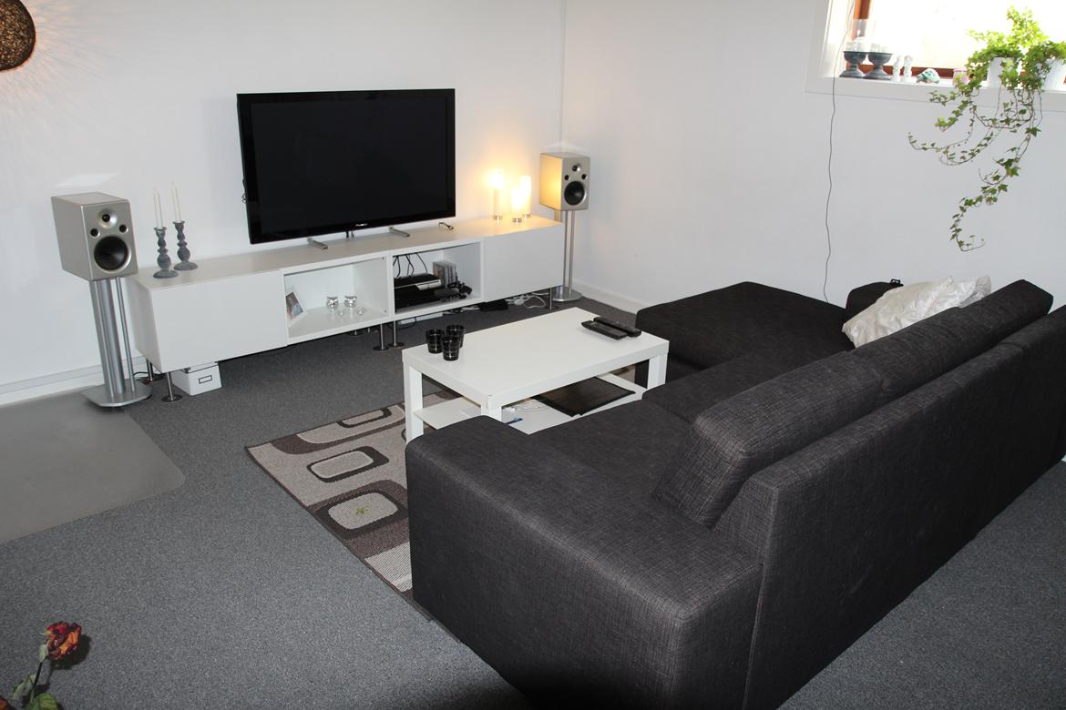 Hjemmebiograf Von Schweikert Audio VR-1 "Aktive" Demo model billede 12