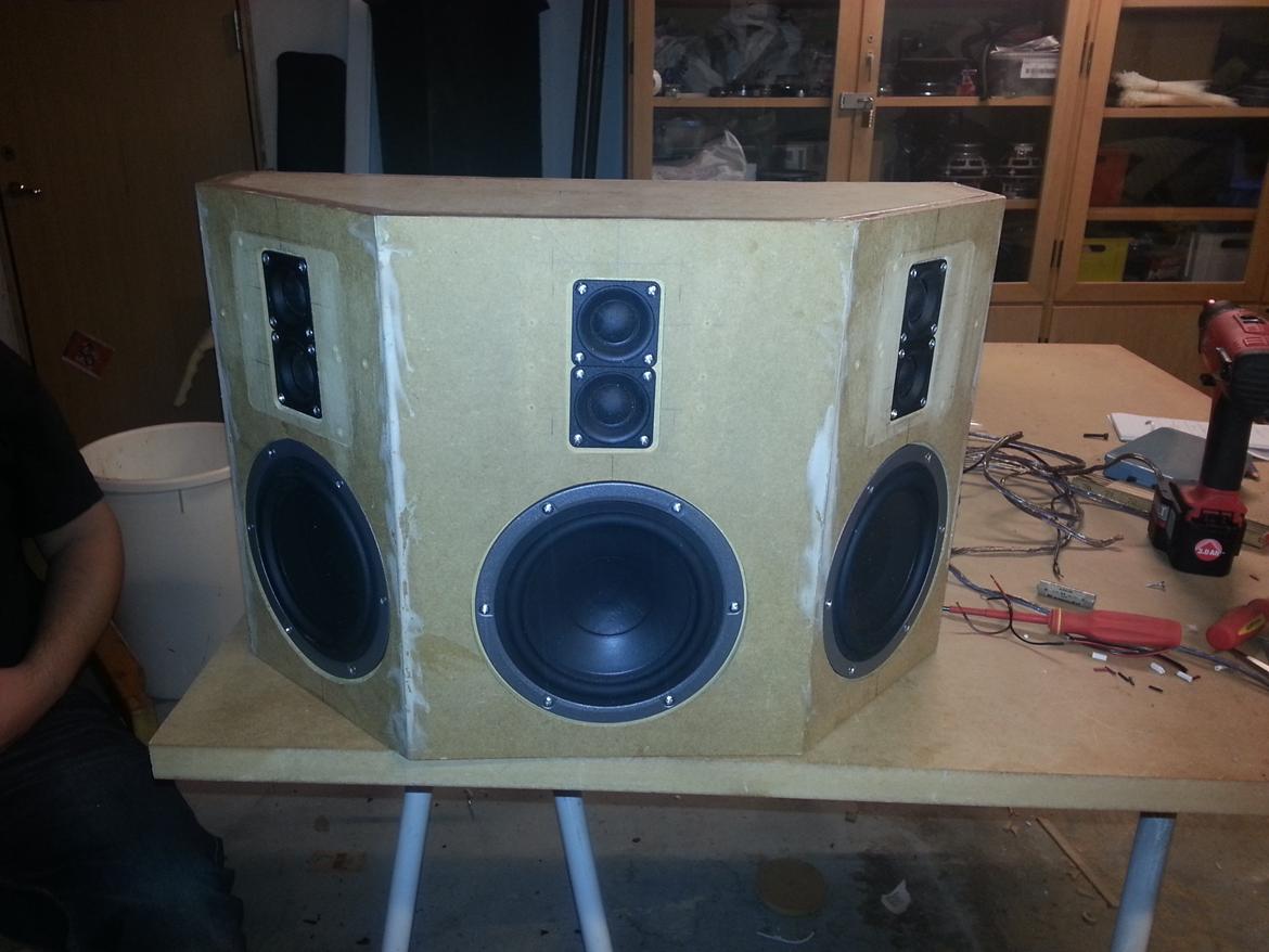Hjemmebiograf DIY B&W-Scanspeak billede 11