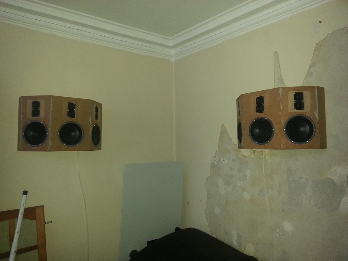 Hjemmebiograf DIY B&W-Scanspeak billede 12