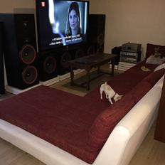 Musikanlæg Cerwin-Vega! I den lille stue