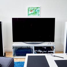 Musikanlæg Dynamikken! Focal & OLED.