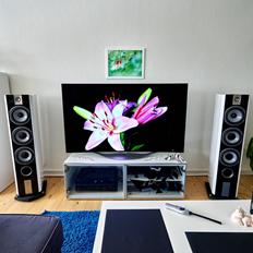 Musikanlæg Dynamikken! Focal & OLED.