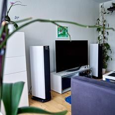 Musikanlæg Dynamikken! Focal & OLED.