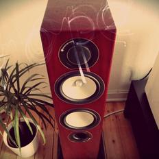 Musikanlæg Monitor Audio /XTZ