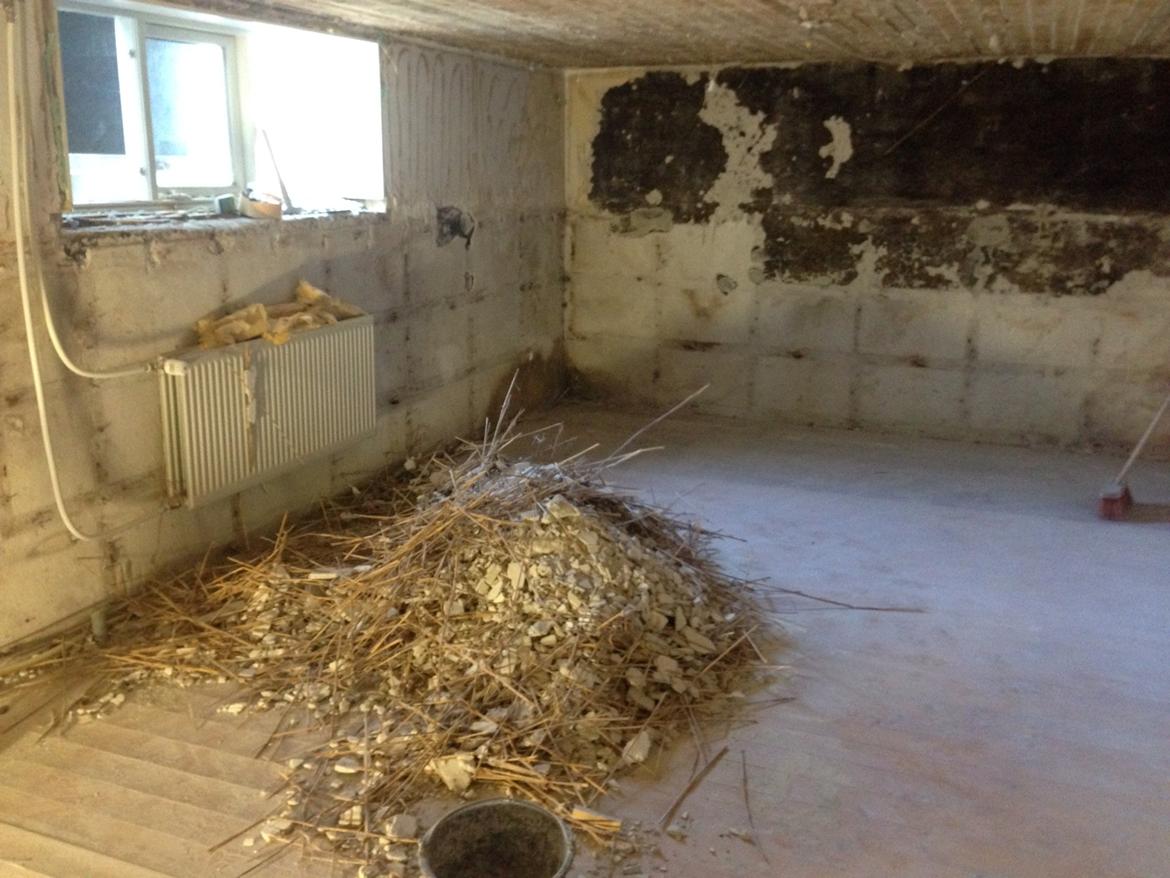 Hjemmebiograf 30 m3 hjemmebio i kælderen (Solgt/ændret) - det gamle loft efter at det var pillet ned billede 8