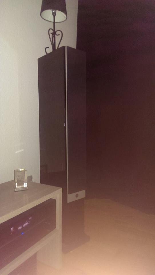 Hjemmebiograf System Audio/Pioneer billede 5