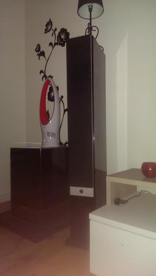Hjemmebiograf System Audio/Pioneer billede 3