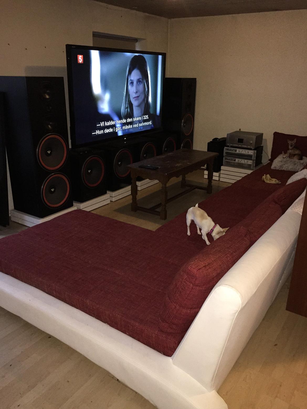 Musikanlæg Cerwin-Vega! I den lille stue billede 1