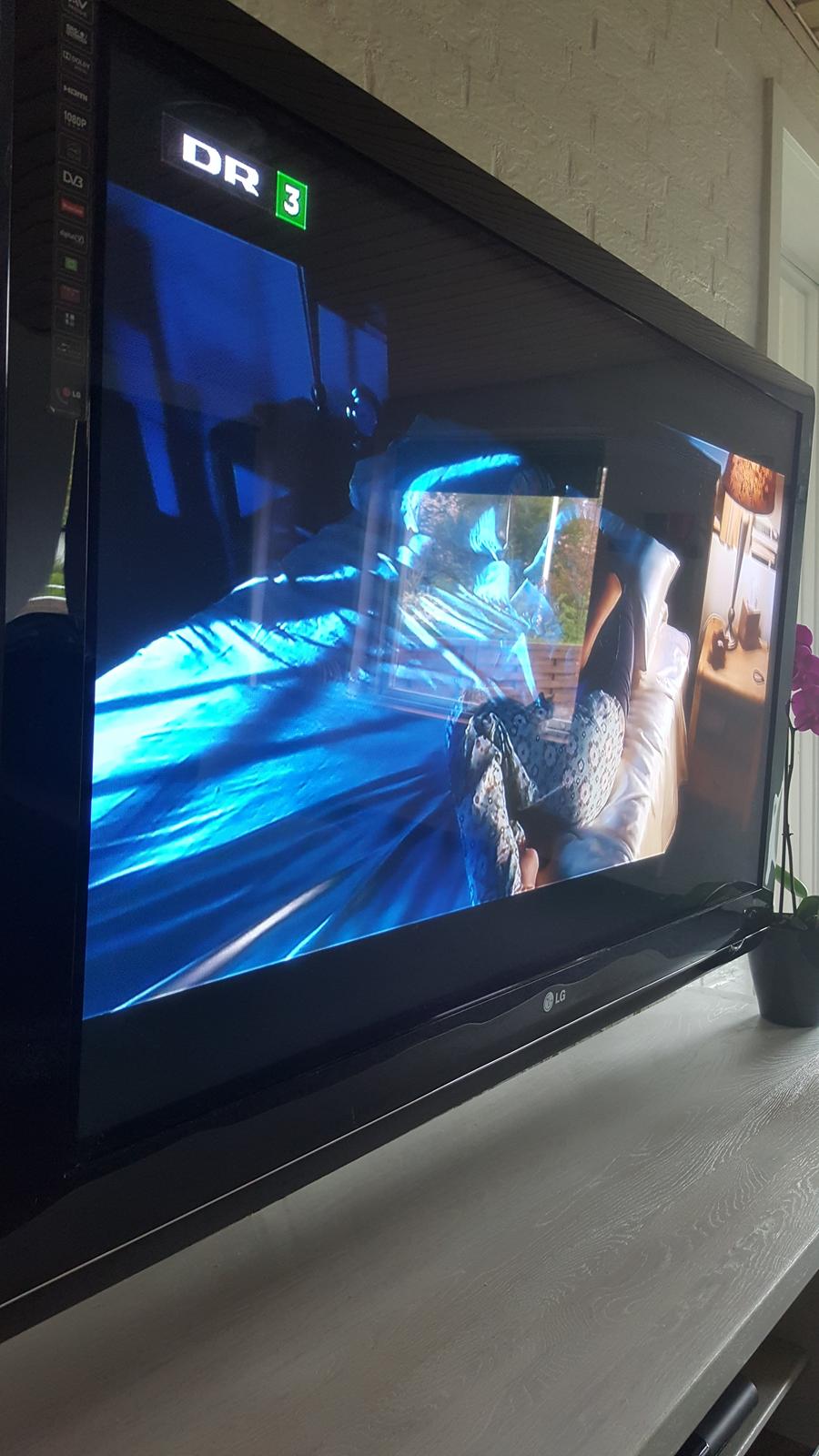 Musikanlæg Dali og Bow hypex billede 7