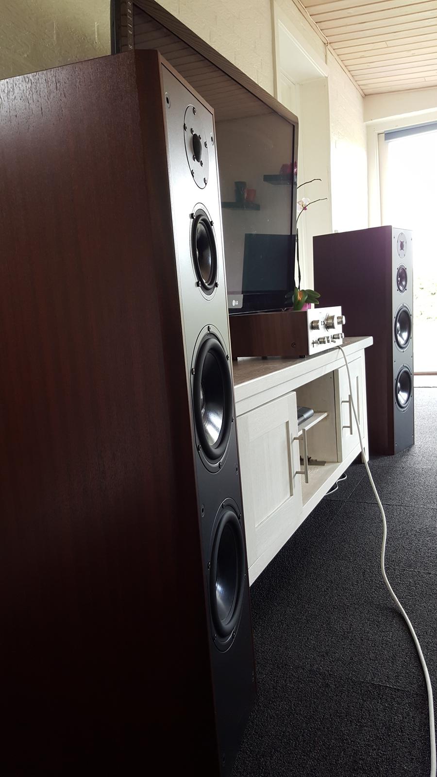 Musikanlæg Dali og Bow hypex billede 8