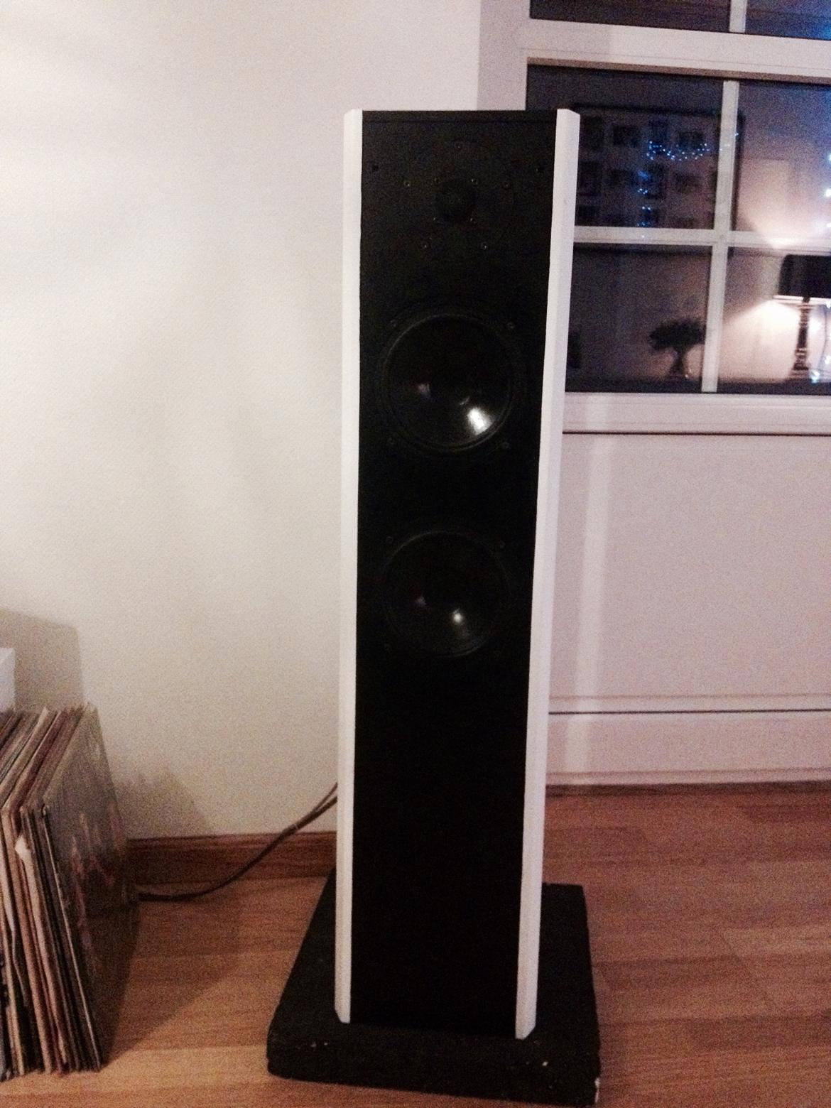 Musikanlæg Nad - Dali  billede 8