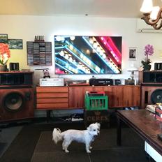 Musikanlæg . Mangler jeg noget for at blive optaget?