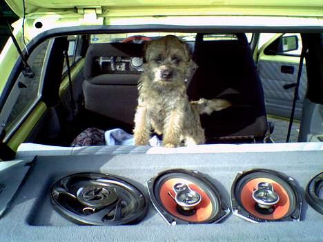 Bilstereo corsa a GT - vagt hunden =) billede 10