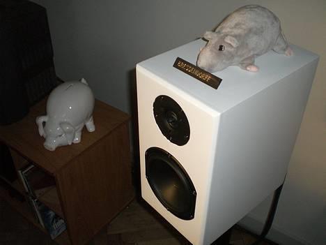 Musikanlæg mit hifi - Min DIY højtaler  billede 6