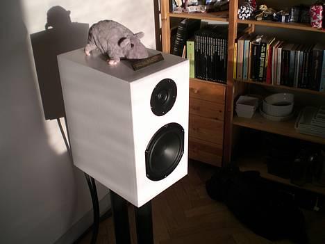 Musikanlæg mit hifi billede 7
