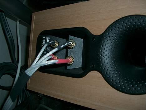 Hjemmebiograf B&W stue - QED silver BI-WIRE kablet til centeren. billede 7