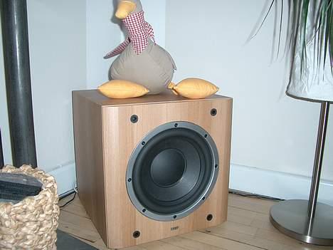 Hjemmebiograf B&W stue - Subwooferen billede 8