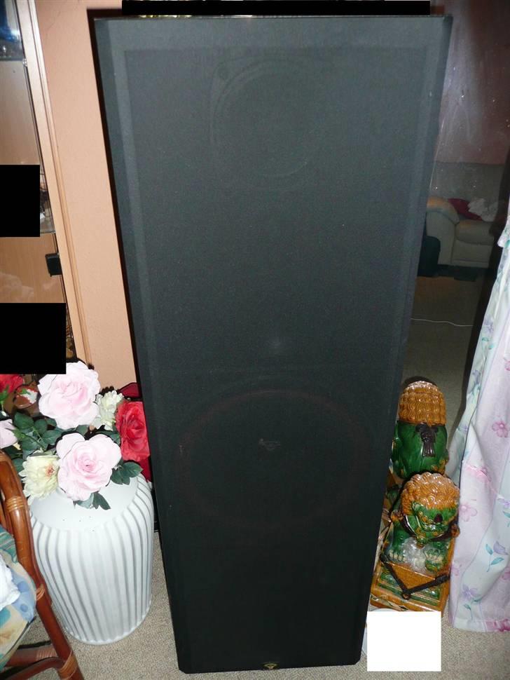 Hjemmebiograf CerwinVega Sherwood Sony - CerwinVega 1515 med front på billede 2
