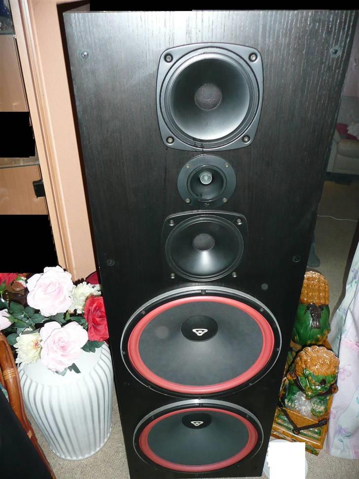 Hjemmebiograf CerwinVega Sherwood Sony - CerwinVega 1515 uden front på billede 4