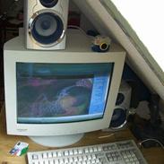 Computeranlæg nyt (for min computer)