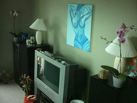 Musikanlæg Minirockeren's anlæg;D - Billedet af mit tv og højtalere:) fine blomster ikke:P billede 12