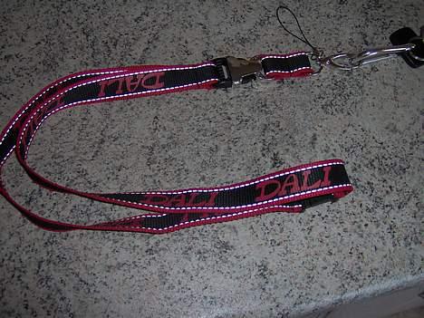 Bilstereo Dali/Denon.. - man er vel rigtig dali mand.. billede 9