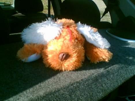 Bilstereo Bilstereo  I Saxo - vores lille bamse ;-)  billede 15