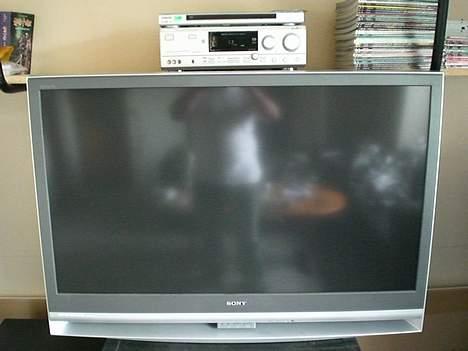 Musikanlæg Cerwin-Vega CLS / NAD - Det gammel 50" 3LCD tv.. var nu meget godt :) billede 5