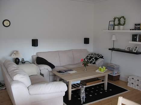 Hjemmebiograf LPH's Hjemmebio (Low End) - Sofaerne og baghøjtalerne billede 18