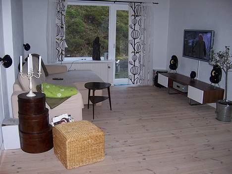 Hjemmebiograf NEC & JAMO - Det hele samlet. billede 4