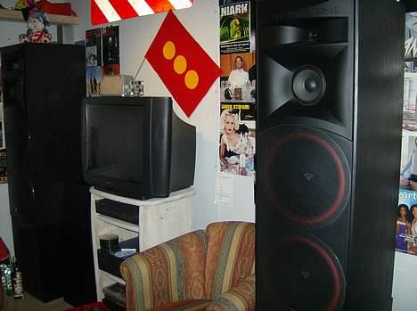 Musikanlæg Cerwin vega feat Nad  - gamle setup billede 3