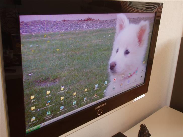 Hjemmebiograf Samsung, Sony og Jamo - damens baby på skærmen billede 14