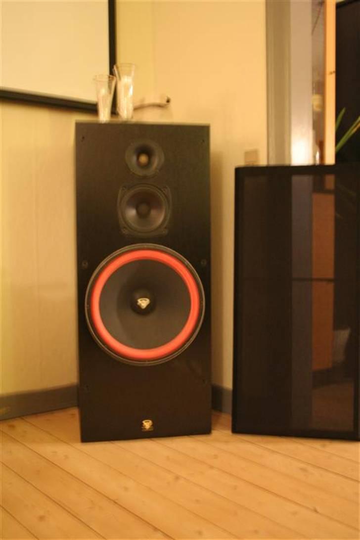 Hjemmebiograf Rotel  / Cerwin Vega billede 3