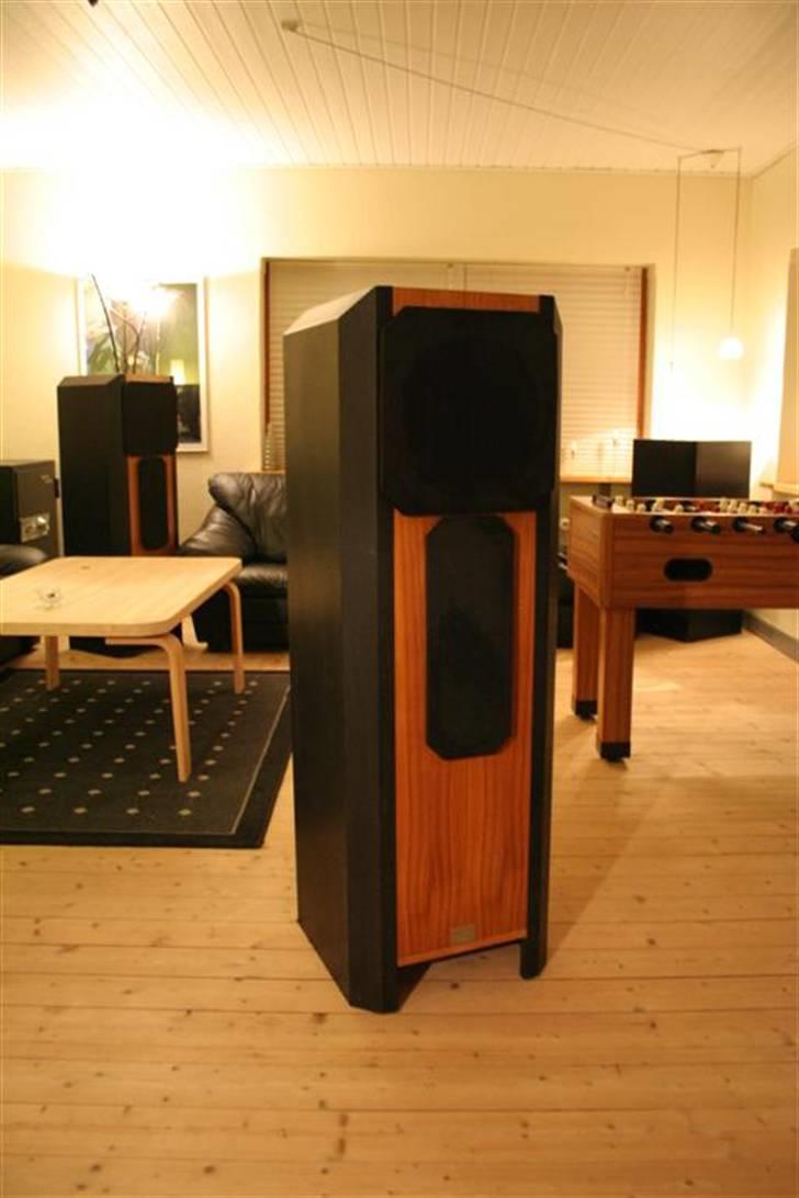 Hjemmebiograf Rotel  / Cerwin Vega billede 6
