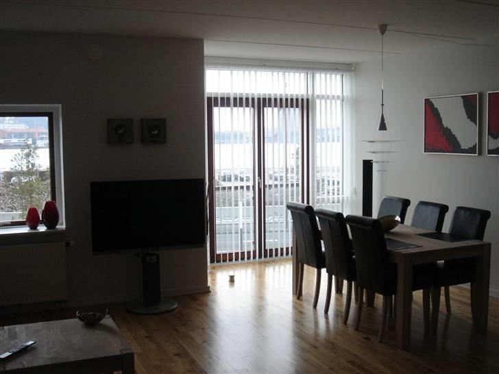 Hjemmebiograf B&O billede 2