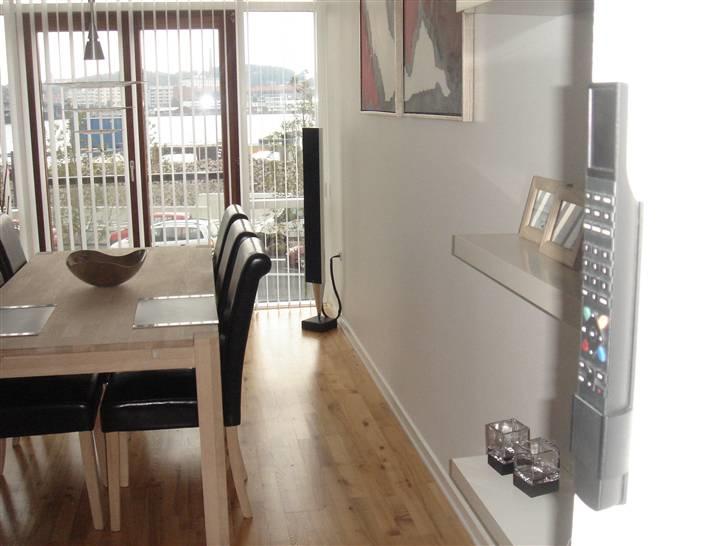 Hjemmebiograf B&O billede 4