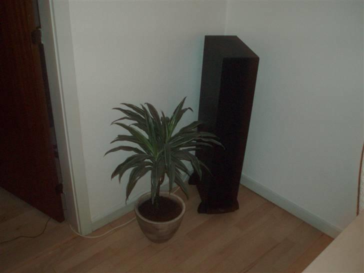 Hjemmebiograf surround   Klipsch - venstre bag ht skod kamera sorry billede 6