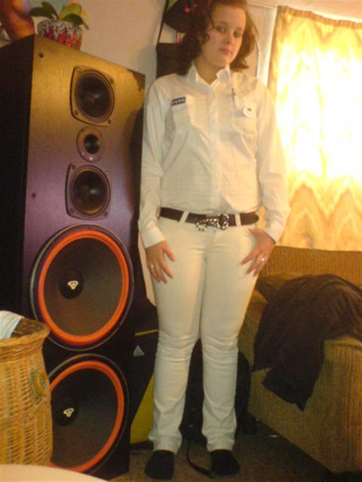 Computeranlæg Cerwin Vega billede 9