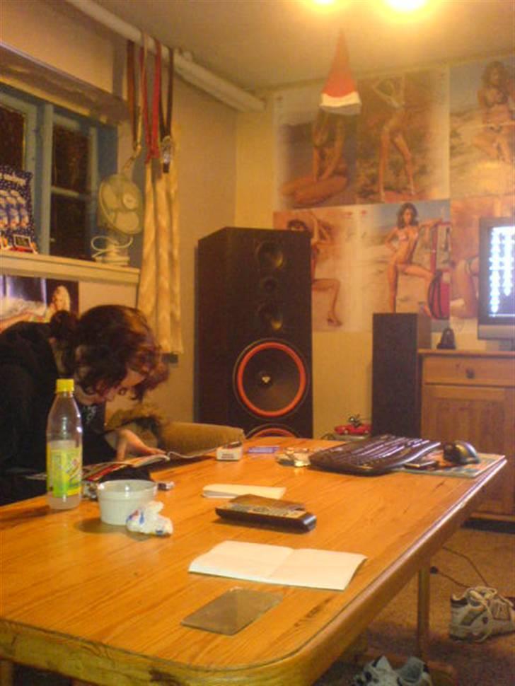 Computeranlæg Cerwin Vega billede 15