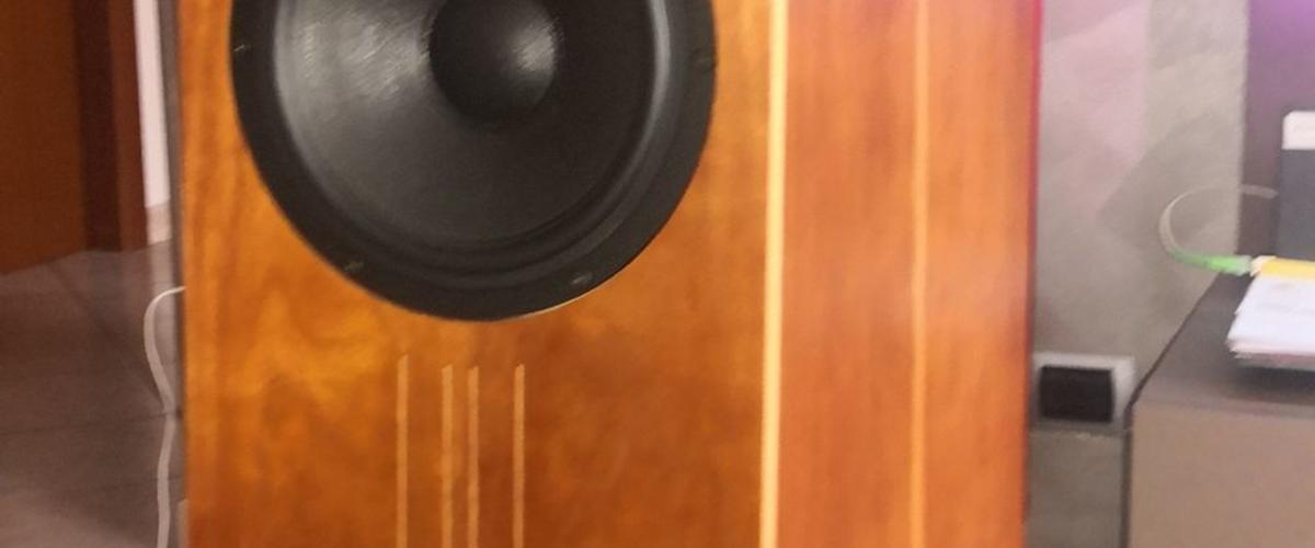 Blumenhofer Big Fun 20 kr. 43879 brugte højttalere