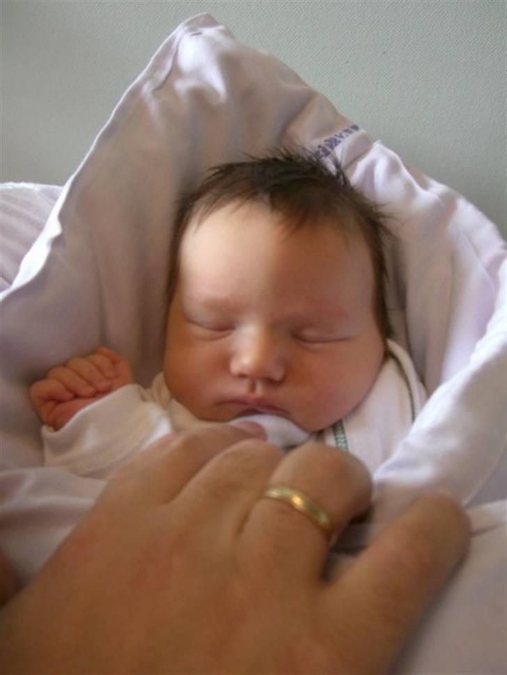 Prinsesse Sofie - 1 dag gammel billede 4